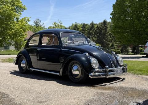 1962 vw beetle