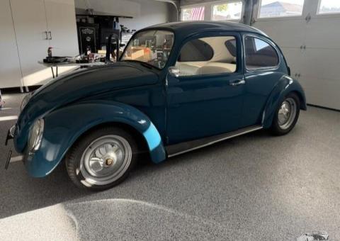 1966 Cal Style Bug