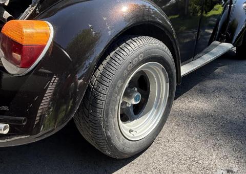 74 beetle project - 6
